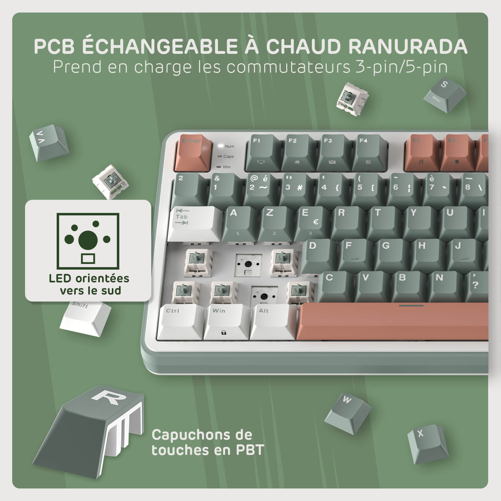 RK ROYAL KLUDGE S98 FR Mechanical keyboard with interchangeable keycaps on a green background