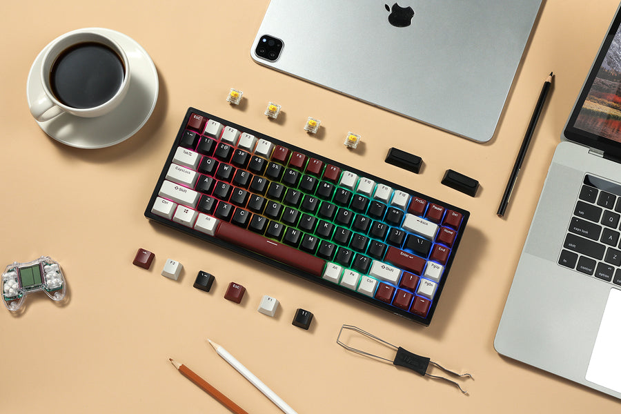 A Comprehensive Guide to Mechanical Keyboard Switches