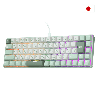 RK ROYAL KLUDGE C68 Japanese layout Hall Effect Mechanical Gaming Keyboard,  65% HE Magnetic Switch Wired RGB Keyboard, Hot Swappable, Rapid Trigger Adjustable Actuation, 8K Polling Rate, Pro Web Driver for Mac &Win 