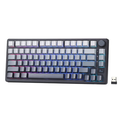 RK ROYAL KLUDGE M75 75% Wireless Mechanical Keyboard, 81 Keys Gasket-Mount, OLED Smart Display, Rotary Knob, Hot-Swappable Pre-Lubed Cloud Switches, Gradient PBT Keycaps, RGB Backlighting, Triple Mode Connectivity for Gaming & Office Use