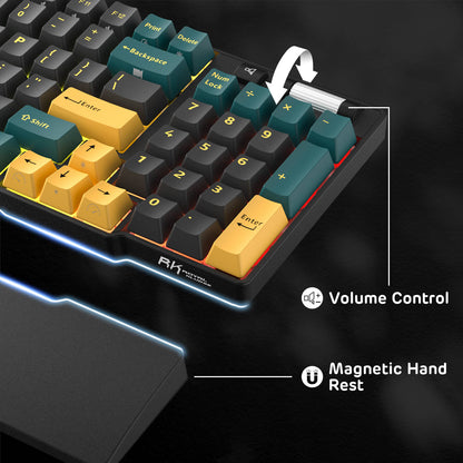 RK ROYAL KLUDGE RK96 RGB Limited Ed, 90% 96 Keys Wireless Triple Mode BT5.0/2.4G/USB-C Hot Swappable Mechanical Keyboard w/Wrist Rest, Software Support & Massive Battery