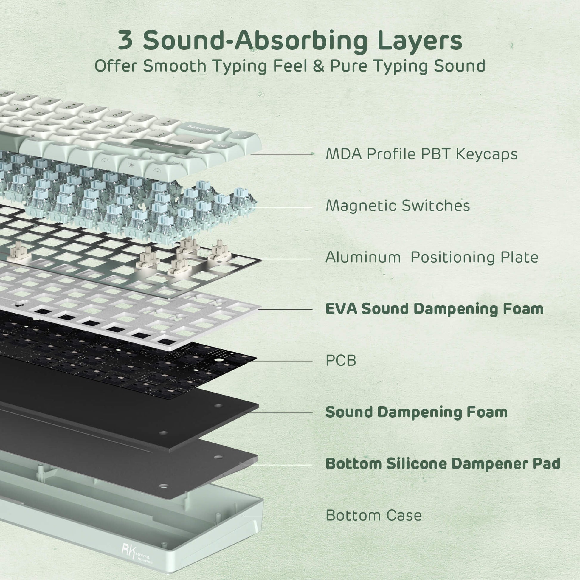 Cross-sectional view of a keyboard with labeled components on a light green background