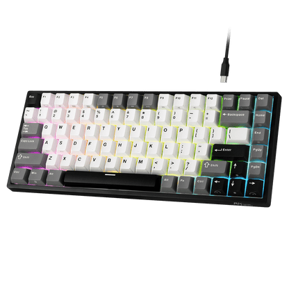 RK ROYAL KLUDGE RK84 Wired 75% RGB Mechanical Keyboard, 84-Keys Compact TKL Gaming Keyboard w/Programmable Software for Mac/Win, Sound Absorbing Foam, PBT Keycap, Hot Swappable Custom Switch