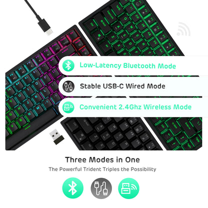 RK84 75% Wireless Mechanical Keyboard, Black, Hot Swappable with USB-C wired, 2.4Ghz Wireless and Bluetooth Connectivity