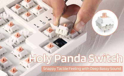 Holy Panda Switch