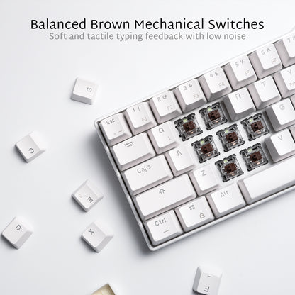 RK ROYAL KLUDGE RK61  Keyboard with brown switches