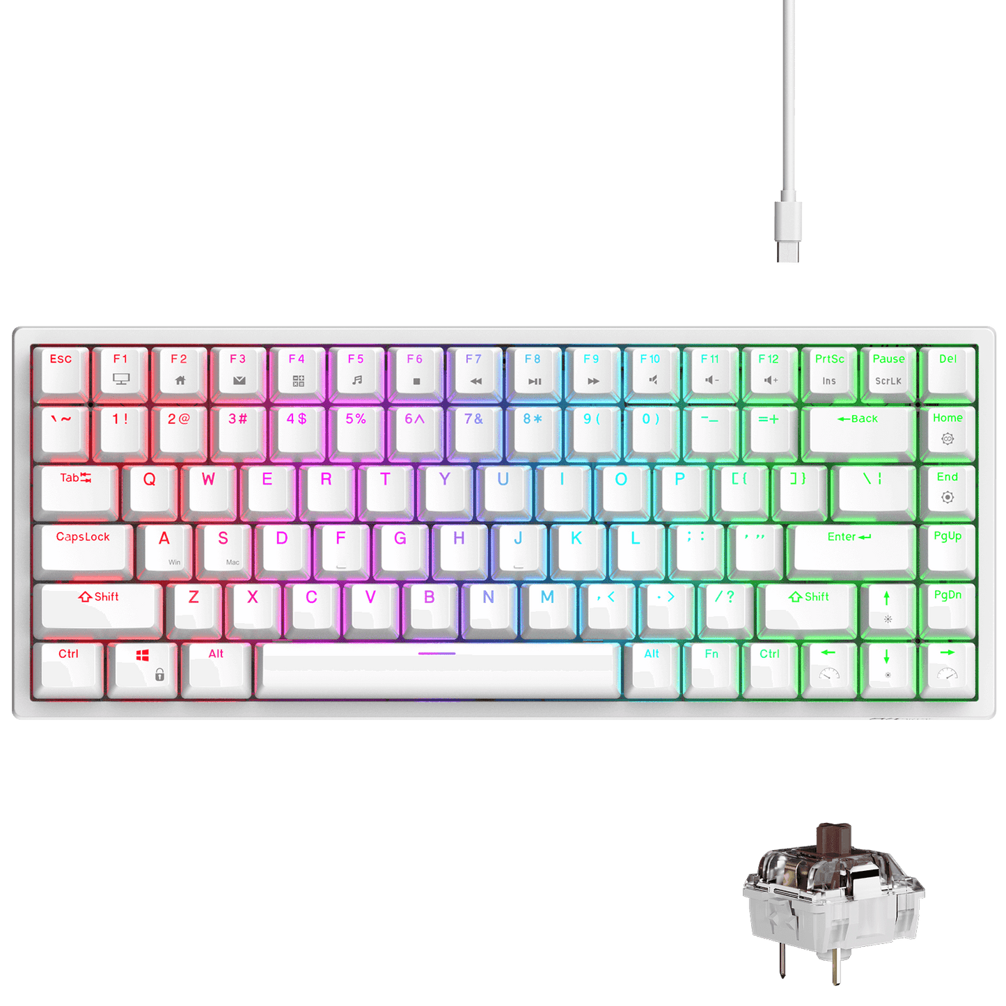 RK ROYAL KLUDGE RK84 Wired RGB 75% Hot Swappable Mechanical Keyboard, 84 Keys Tenkeyless TKL Gaming Keyboard w/Programmable Software and High-Capacity Battery, RK brown Switch white