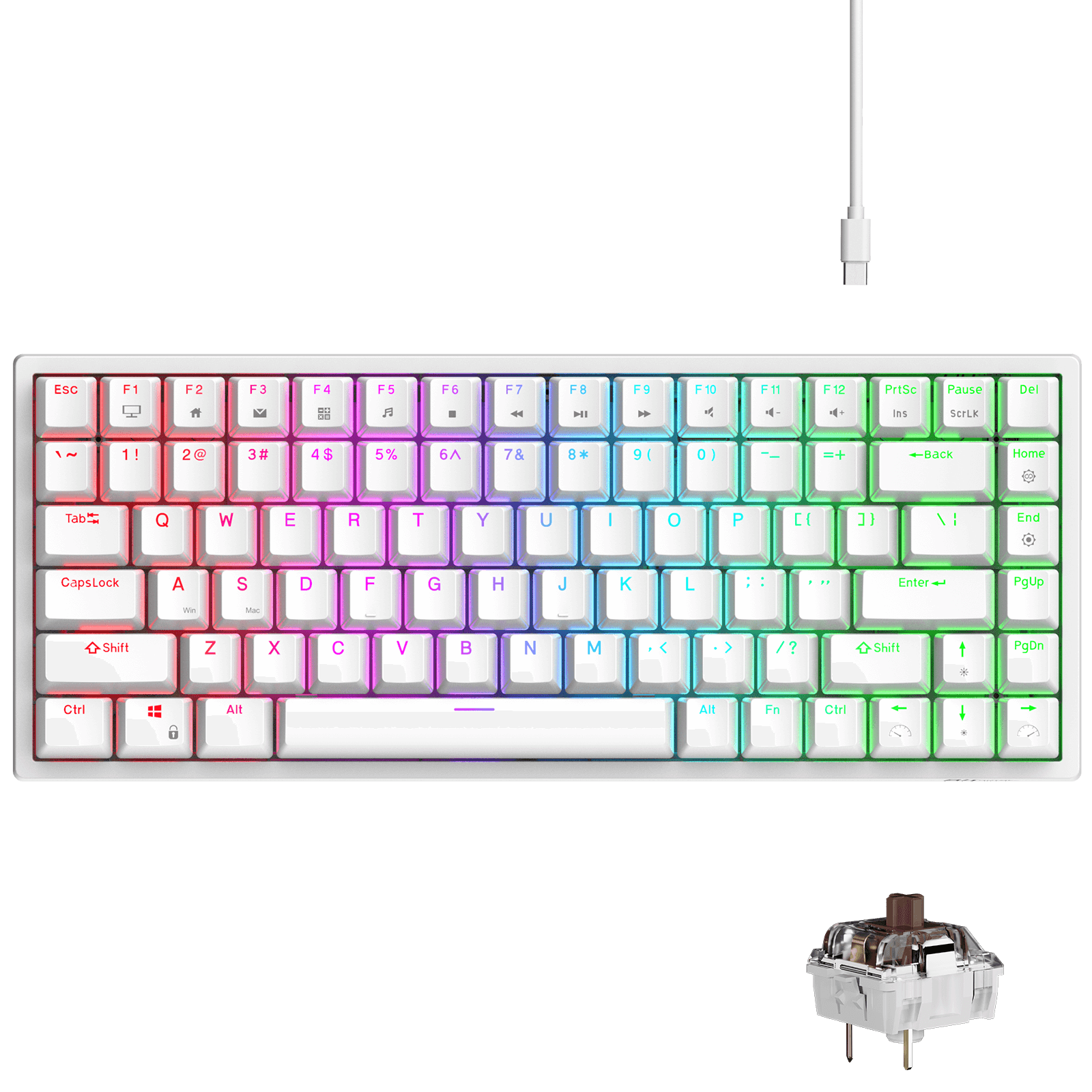RK ROYAL KLUDGE RK84 Wired RGB 75% Hot Swappable Mechanical Keyboard, 84 Keys Tenkeyless TKL Gaming Keyboard w/Programmable Software and High-Capacity Battery, RK brown Switch white