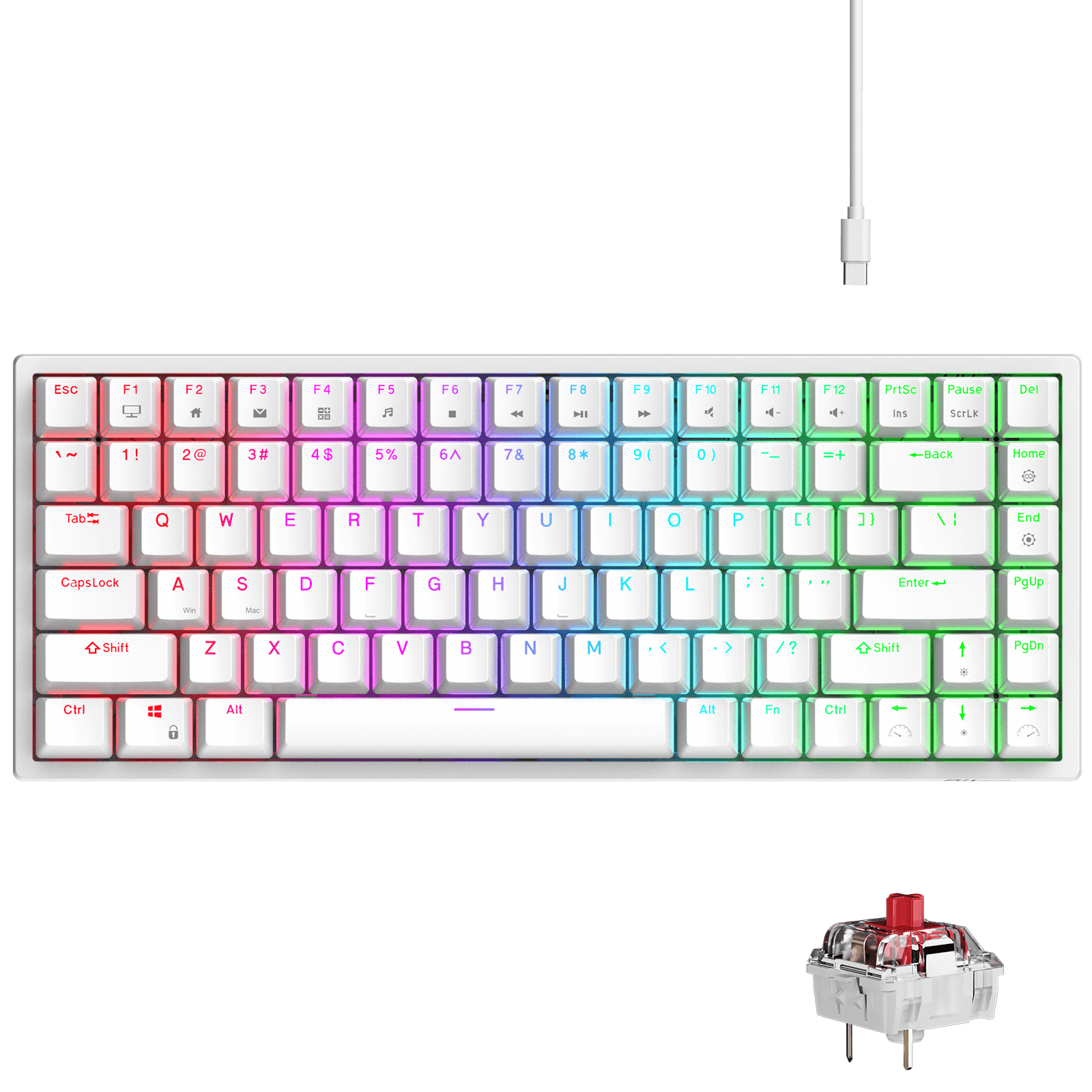 RK ROYAL KLUDGE RK84 Wired RGB 75% Hot Swappable Mechanical Keyboard, 84 Keys Tenkeyless TKL Gaming Keyboard w/Programmable Software and High-Capacity Battery, RK Red Switch white